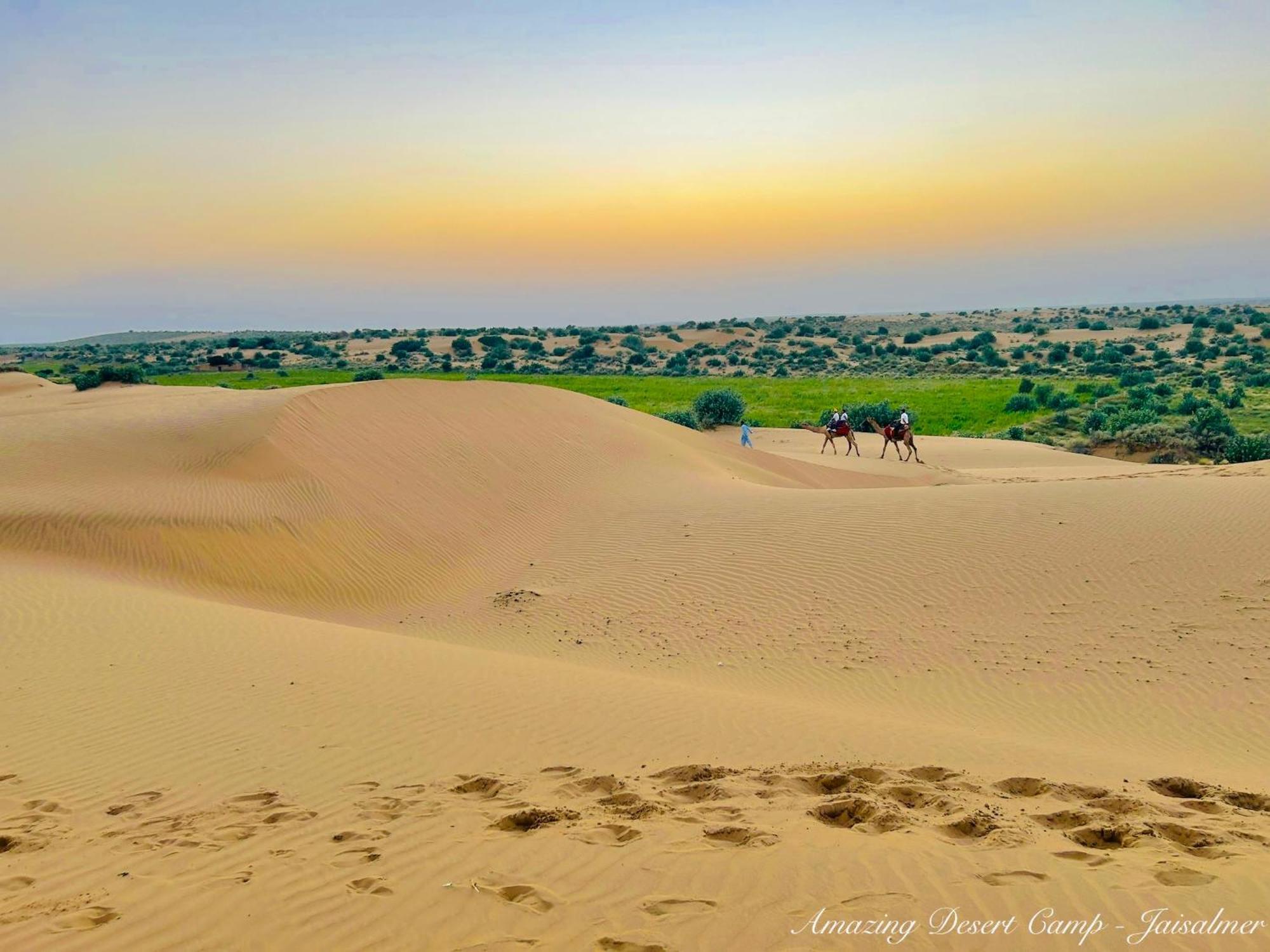 Amazing Desert Camp Jaisalmer Bagian luar foto